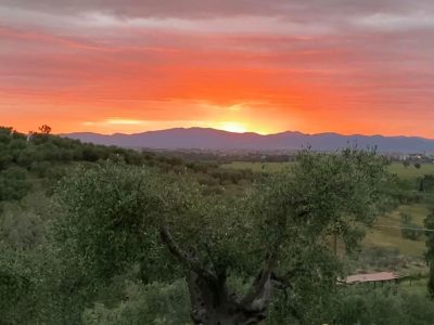 Agriturismo gli Archi