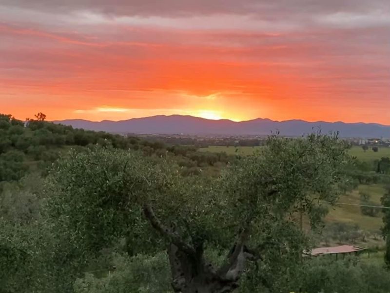 Agriturismo gli Archi