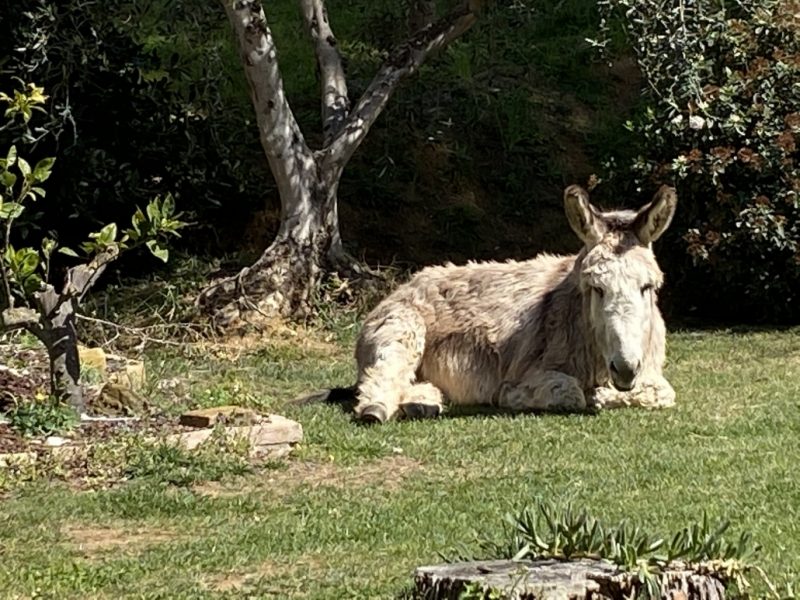 Agriturismo gli Archi