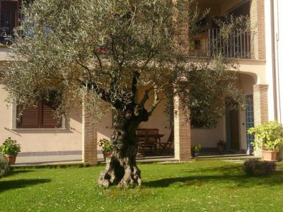 B&B La Rocca